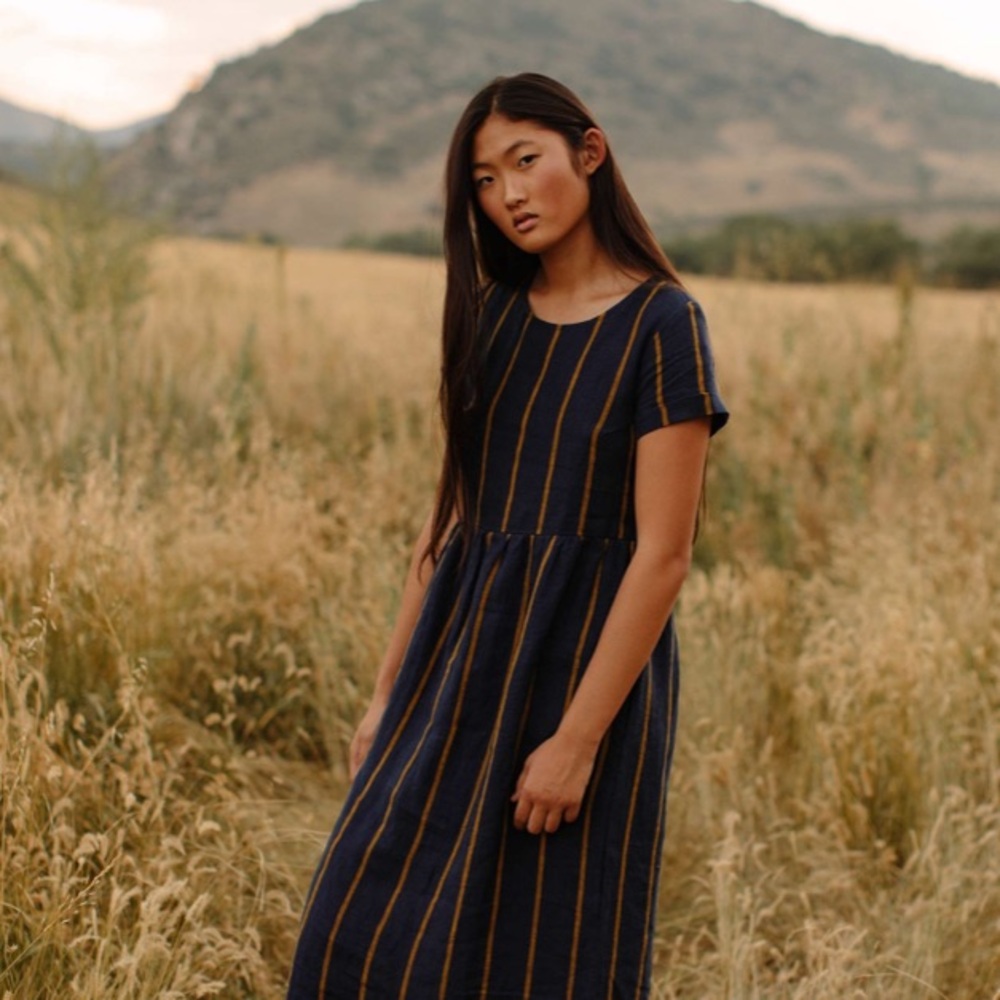 Pyne & Smith Model No. 17 Oxford Stripe Dress Navy Blue & Yellow Striped Linen - Picture 8 of 8